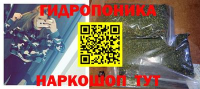 индика Жуковский