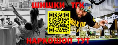 индика Жуковский