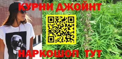 индика Жуковский